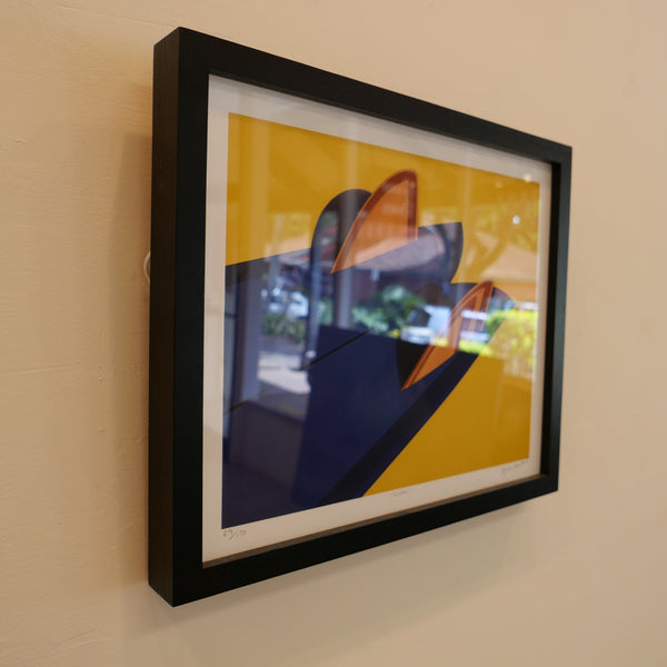 Twin framed print