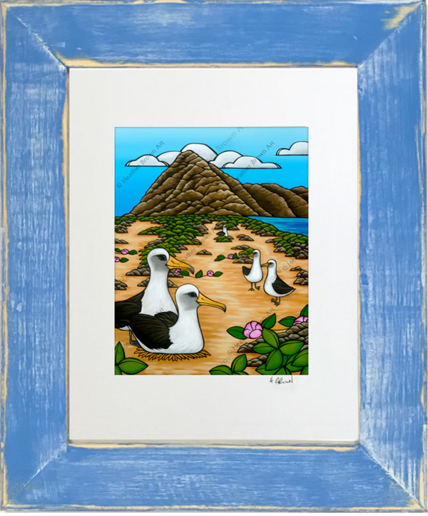 Albatross at Ka'ena Point