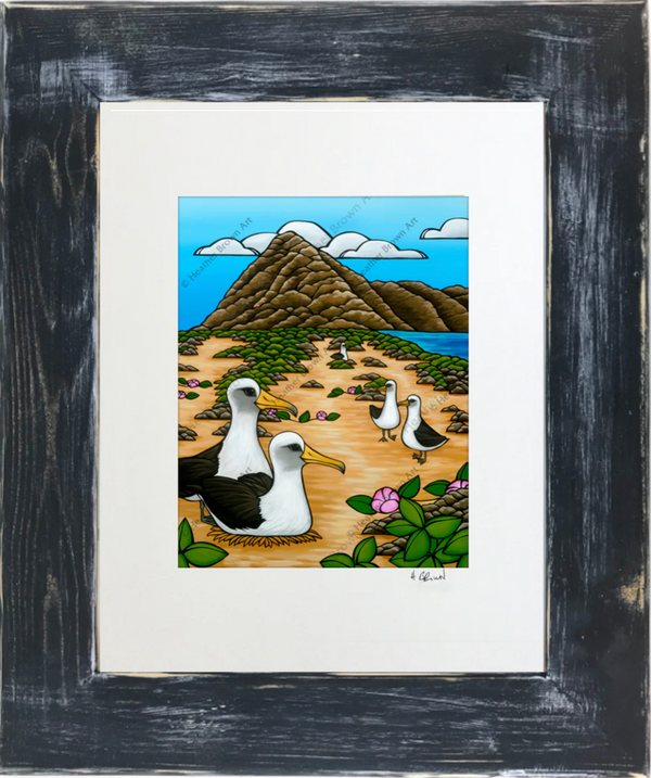 Albatross at Ka'ena Point