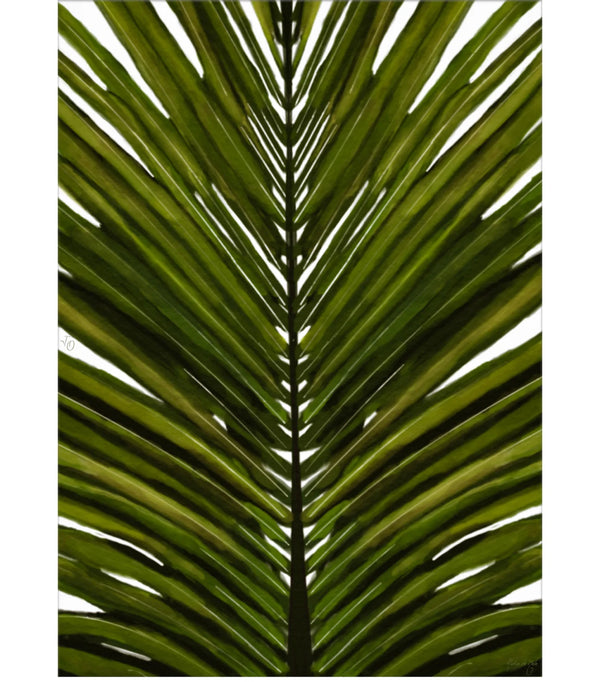 Palm