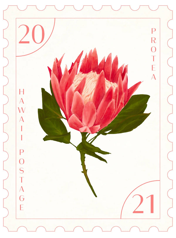 Postal Print - Protea