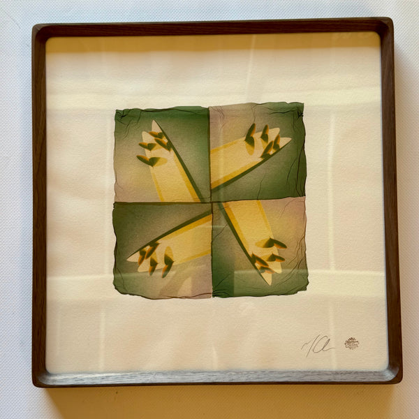 Quartet- signed, framed Original