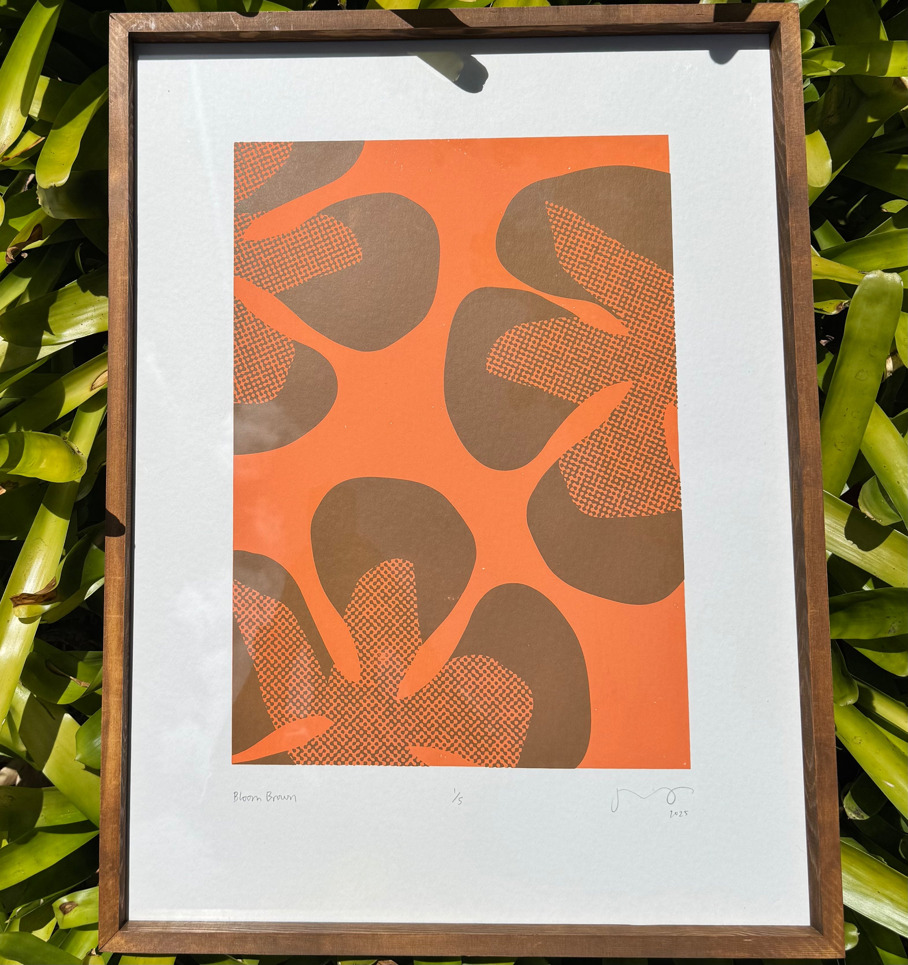 Bloom Brown - Framed Print