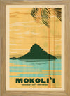 MOKOLII, Chinaman's Hat Framed Print