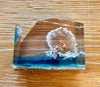 AUMBAK Crystal Cube Small #1