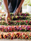 Lei Aloha