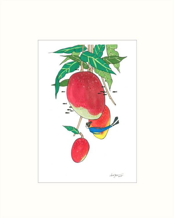 Mango Diver