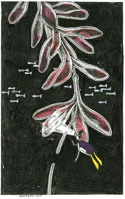 Hitori Plumeria