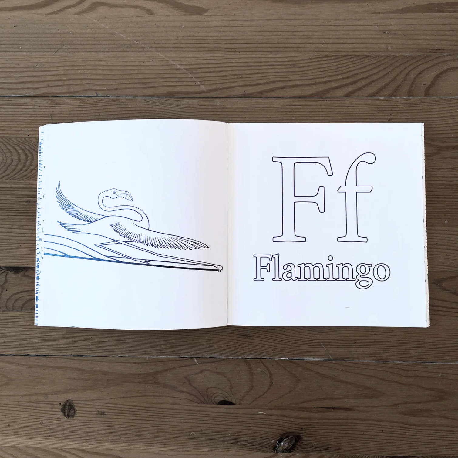 The Surfing Animals - Alphabet COLORING BOOK