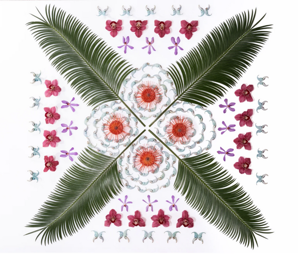 Jack Lane Matted Print by Lola Pilar