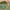 Rainbow Reflections (Canvas)