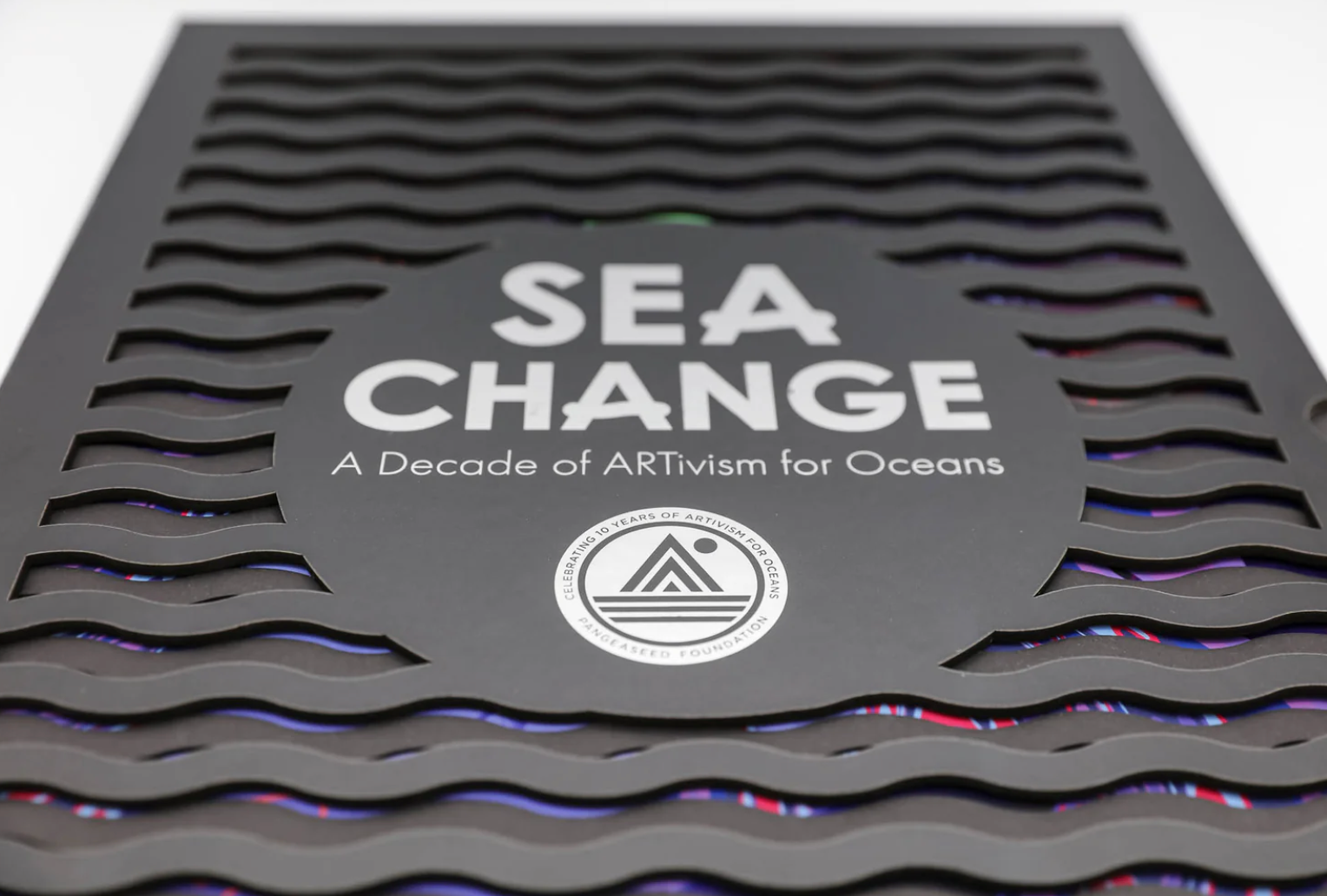 Sea Change: A Decade of Activism for Oceans Book