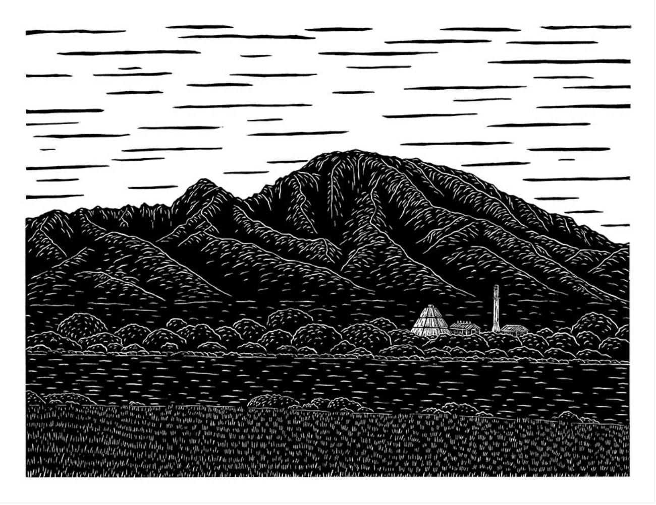 The Sugar Mill