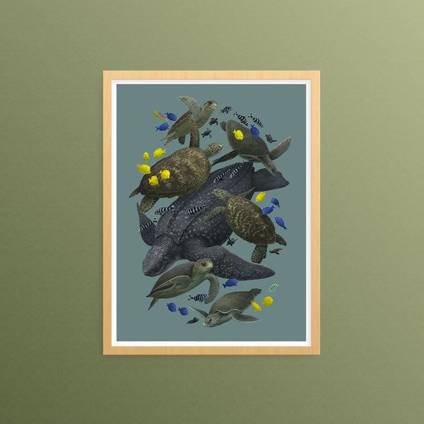 "Sea Turtles of The World" By Zoe Keller