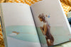 Surf & Art