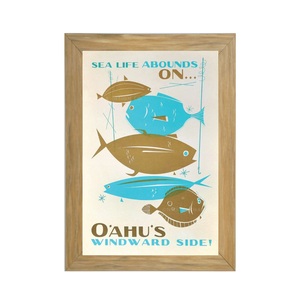 SEA LIFE ABOUNDS Framed Print